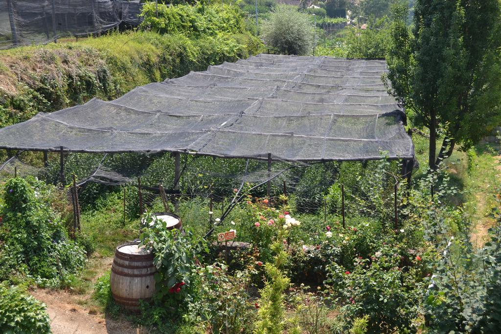 Agriturismo Nonno Tobia Agerola Exteriér fotografie
