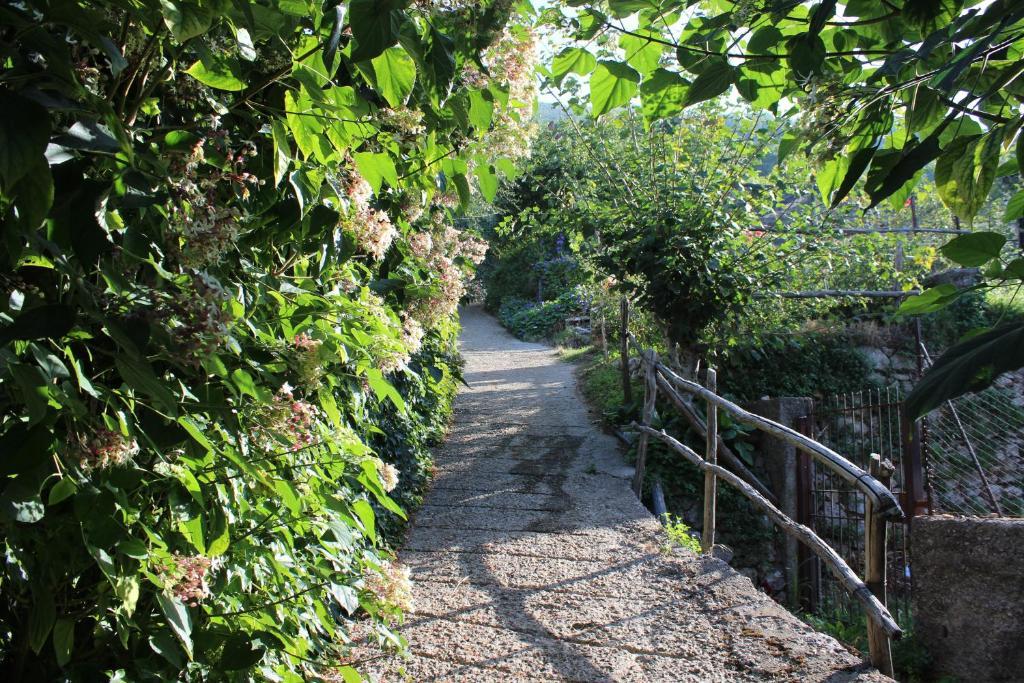Agriturismo Nonno Tobia Agerola Exteriér fotografie
